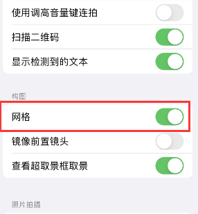 张掖苹果手机维修网点分享iPhone如何开启九宫格构图功能 