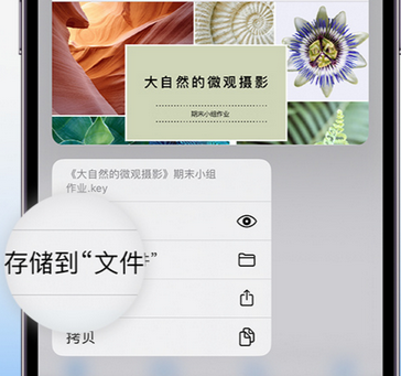 张掖apple维修中心分享iPhone文件应用中存储和找到下载文件