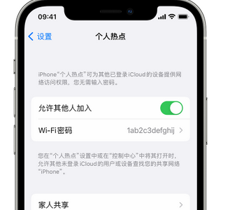 张掖apple服务站点分享iPhone上个人热点丢失了怎么办 