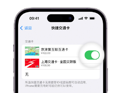 张掖apple维修点分享iPhone上更换Apple Pay快捷交通卡手绘卡面 