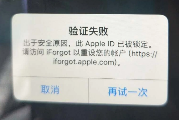 张掖iPhone维修分享iPhone上正常登录或使用AppleID怎么办 