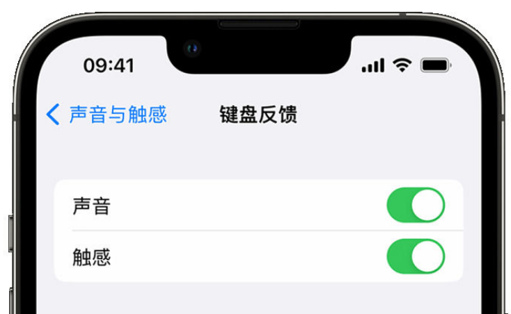 张掖苹果手机维修分享iPhone 14触感键盘使用方法 