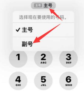 张掖苹果14维修店分享iPhone 14 Pro Max使用副卡打电话的方法 