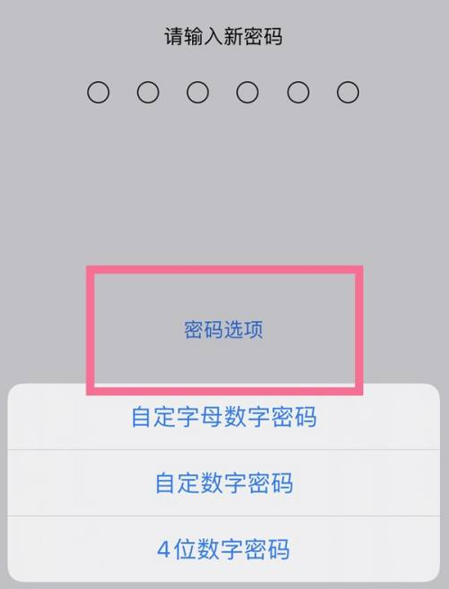 张掖苹果14维修分享iPhone 14plus设置密码的方法 