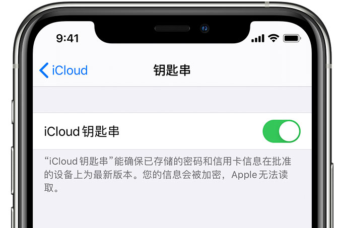 张掖苹果手机维修分享在 iPhone 上开启 iCloud 钥匙串之后会储存哪些信息 