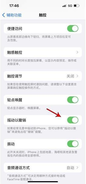 张掖苹果手机维修分享iPhone手机如何设置摇一摇删除文字 