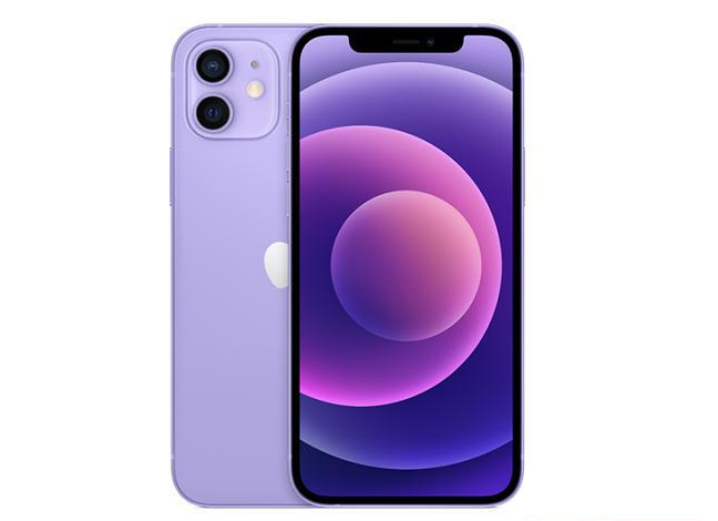 张掖苹果手机维修分享现阶段要不要入手紫色版iPhone12 